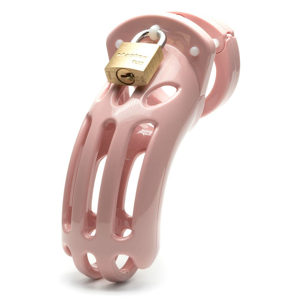 The Curve Chastity Cock Cage Kit - - 3.75 Inch Cock Cage Kit