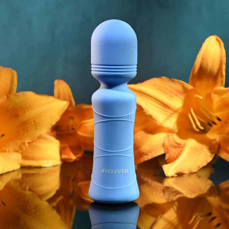 Evolved Out Of The - 10.5 cm USB Rechargeable Mini Massager Wand