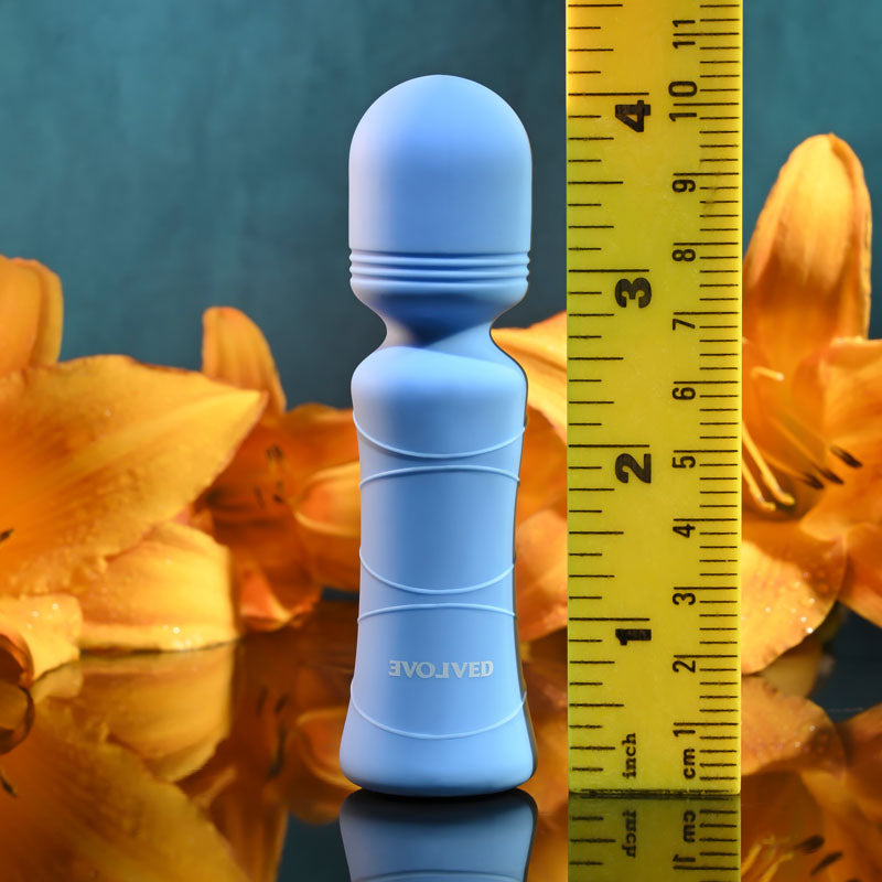 Evolved Out Of The - 10.5 cm USB Rechargeable Mini Massager Wand