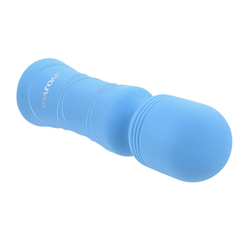 Evolved Out Of The - 10.5 cm USB Rechargeable Mini Massager Wand