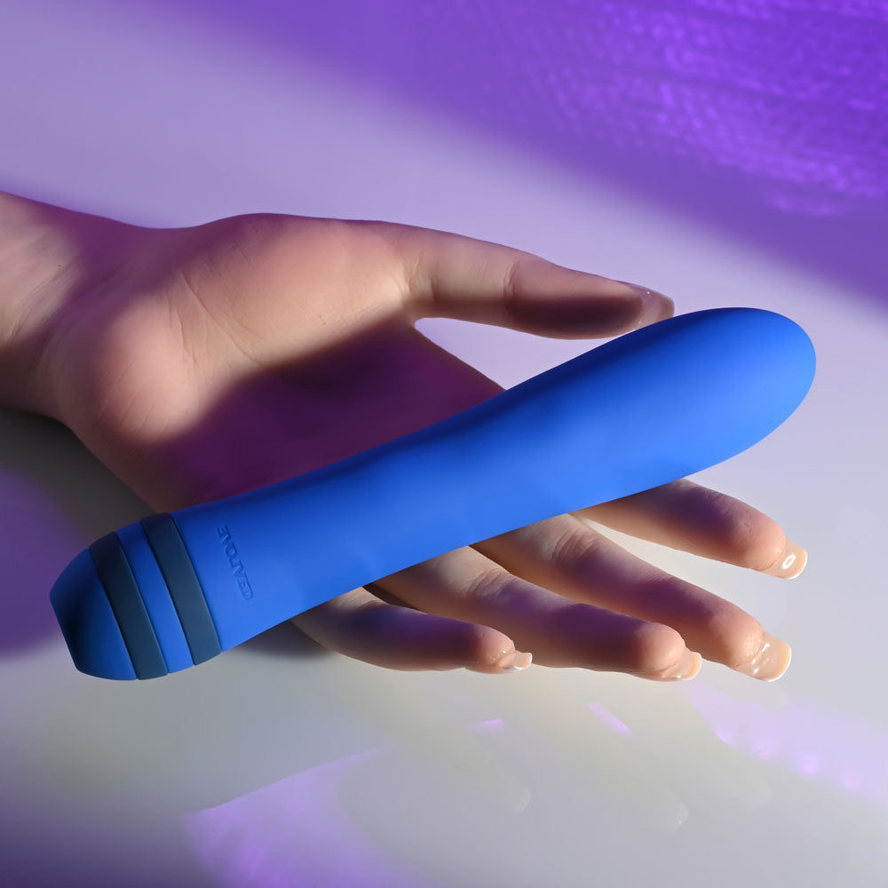 Evolved THE PLEASER - 16.5 cm USB Rechargeable Vibrator