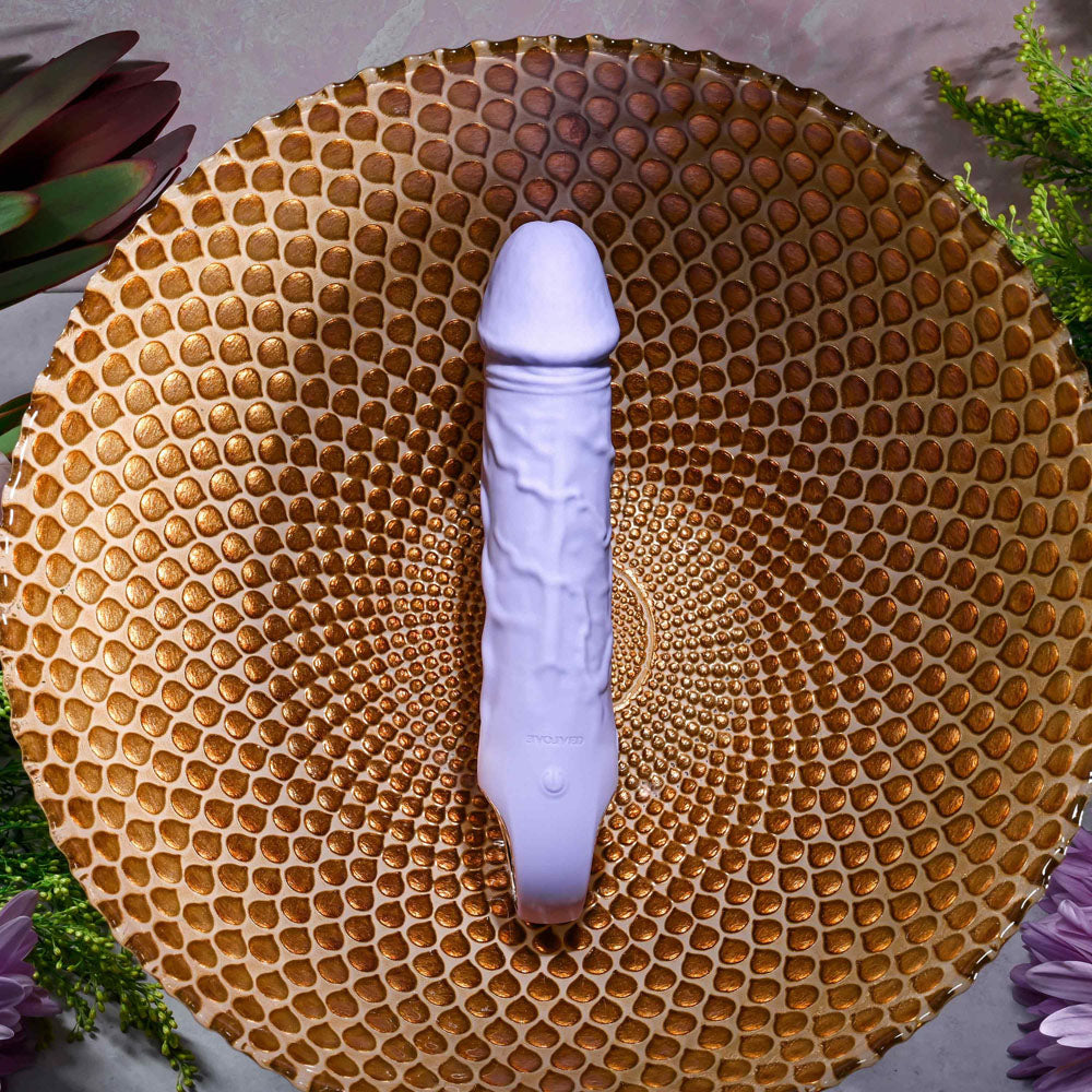 Evolved FANTASY - 18.4 cm USB Rechargeable Vibrator