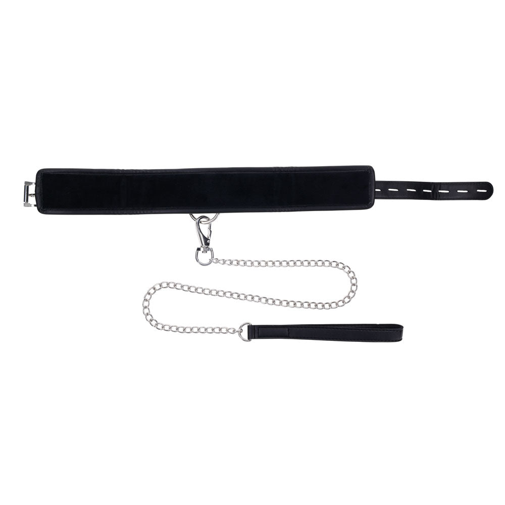 EDGE Collar & Leash - Neck Restraint with Heavy Duty Metal Leash