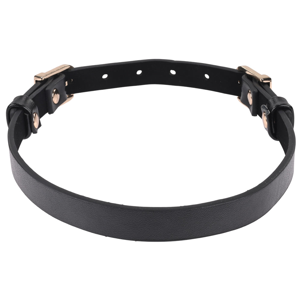 Sex & Mischief Double Buckle Day Collar -  Collar