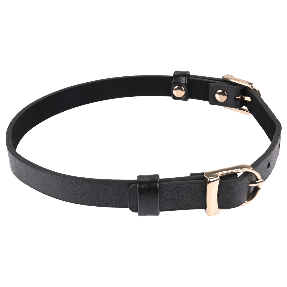 Sex & Mischief Double Buckle Day Collar -  Collar