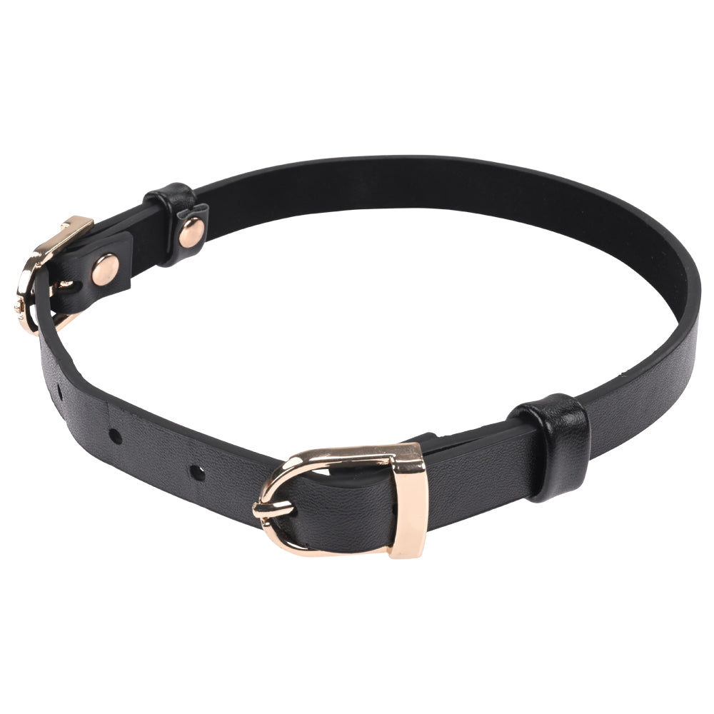 Sex & Mischief Double Buckle Day Collar -  Collar