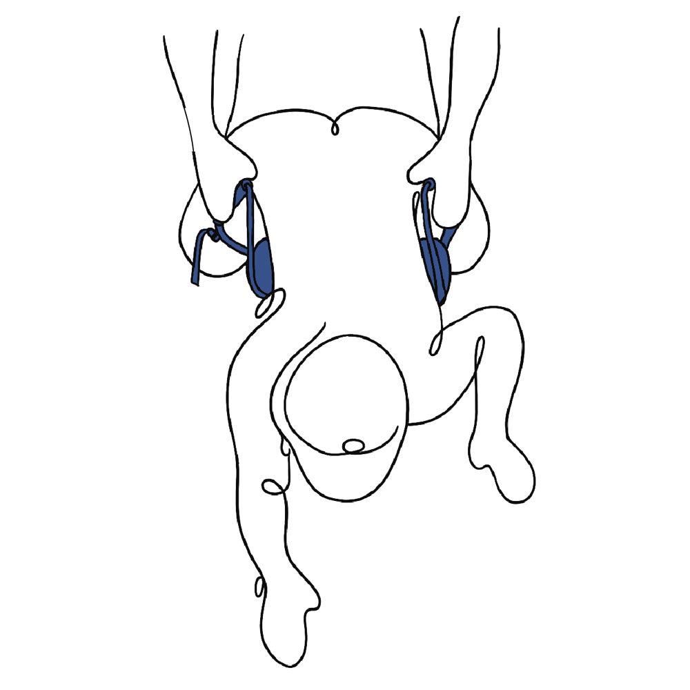 Pivot Deluxe Doggie Strap -  Position Harness Strap